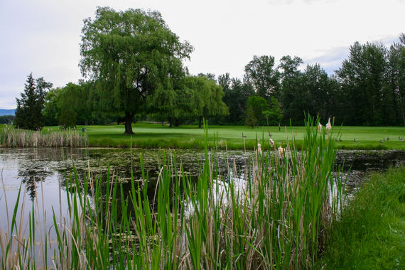 Mission Creek Golf Club Gallery IMG_3772