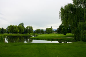 Mission Creek Golf Club Gallery IMG_3747